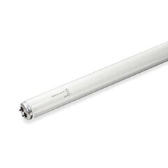 Tub fluorescent MASTER TL5 HO 54W/765